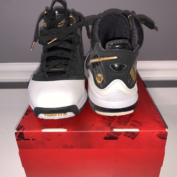 Nike Other - Air Max Lebron VII